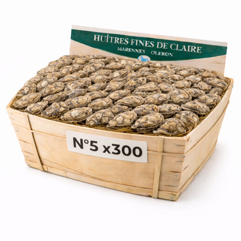 Huîtres Fines de Claire Marennes n°5 – bourriche 300 pièces 15 kg