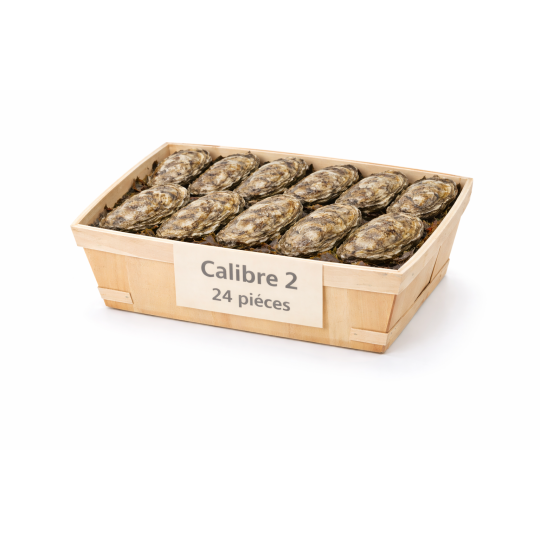 Huîtres Bretonnes Spéciales Maison Legris n°2 – bourriche 24 pièces