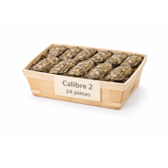 Huîtres Bretonnes Spéciales Maison Legris n°2 – bourriche 24 pièces