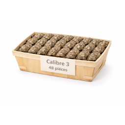 Huîtres Bretonnes Spéciales Maison Legris n°3 – bourriche 48 pièces