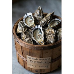 Huîtres normandes Dangaly Mont St-Michel n°2 – bourriche 48 pièces