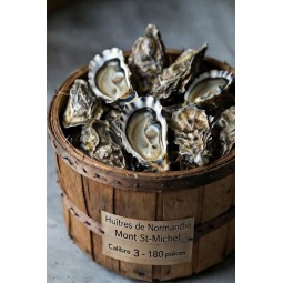 Huîtres normandes Dangaly Mont St-Michel n°3 – bourriche 180 pièces