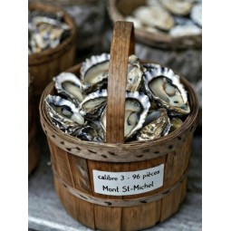 Huîtres normandes Dangaly Mont St-Michel n°3 – bourriche 96 pièces