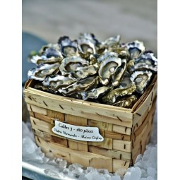 Huîtres normandes Onfroy n°3 – bourriche 180 pièces