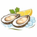 Huîtres fraîches – Marennes-Oléron, Normandie, Bretagne