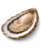 Huîtres de Normandie | Cotentin, Isigny, Saint-Vaast & sélection