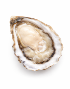 Huîtres Spéciales – Charnues & Premium | Achat en bourriche